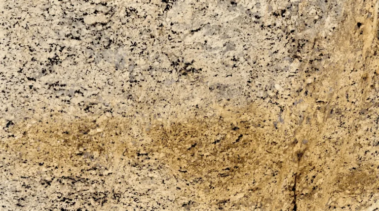 Delicatus Gold granite, polished finish, close-up of the stone