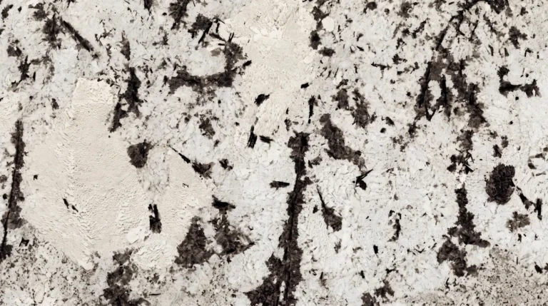 Delicatus granite, polished finish, close-up of the stone