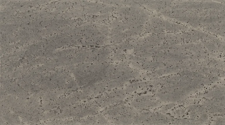 Kashmir Gray granite, polished finish, close-up of the stone