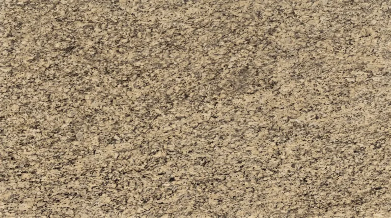 New Venetian Gold granite, polished finish, close-up of the stone