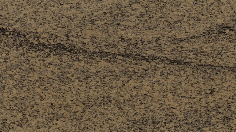 Santa Cecilia granite, polished finish, close-up of the stone